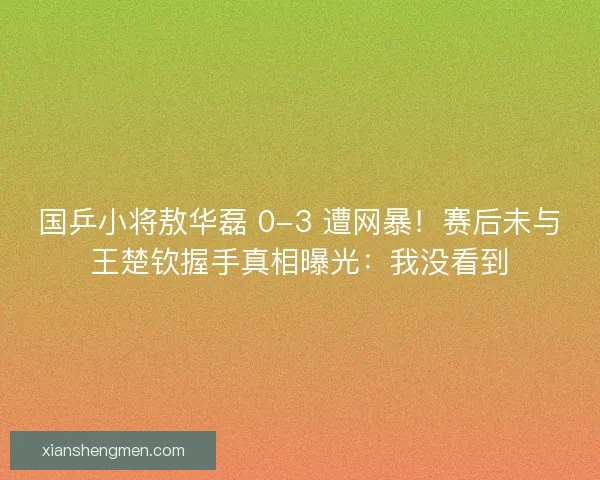国乒小将敖华磊 0-3 遭网暴！赛后未与王楚钦握手真相曝光：我没看到